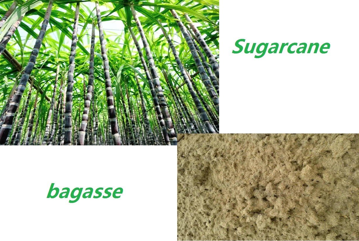 bagasse pulp process bagasse pulp process