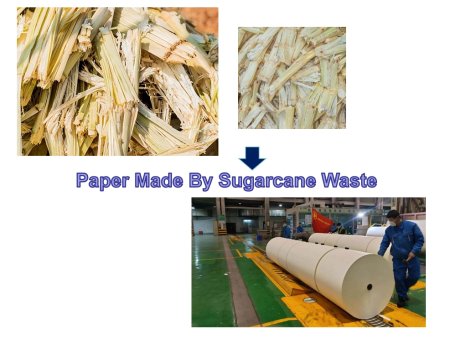 Paper Made By Sugarcane Waste