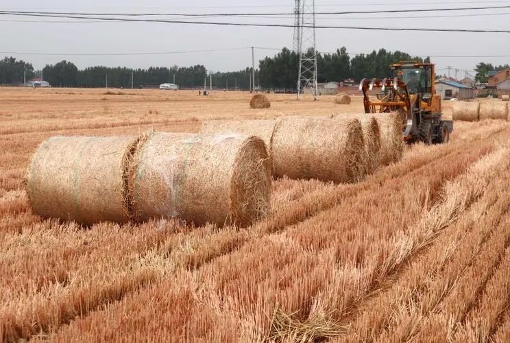 rice straw pulp machine rice straw pulp machine