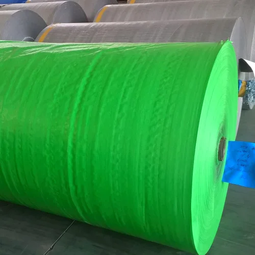 110g Blue/Blue PE Tarpaulin