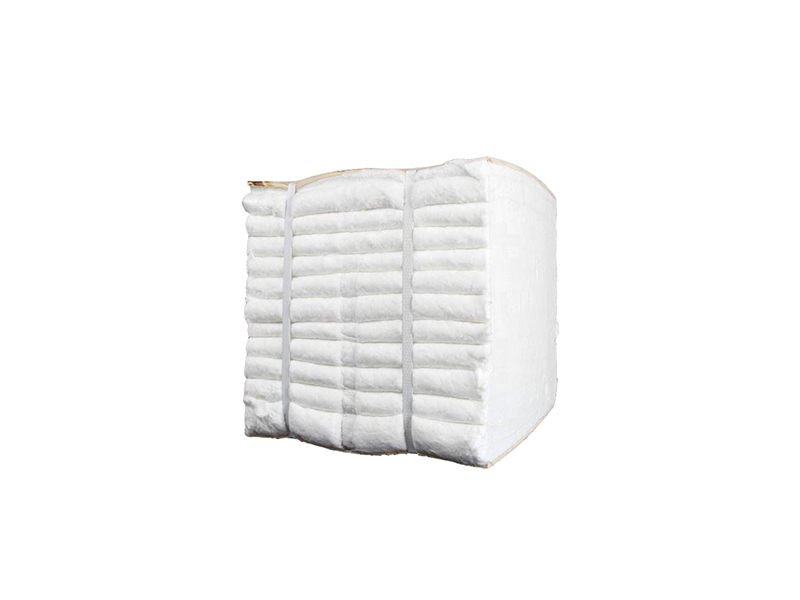 Ceramic Fiber Module