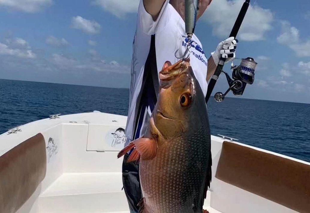 _0004_微信图片_20241126171621