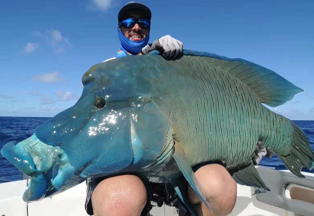 _0008_微信图片_20241126171544