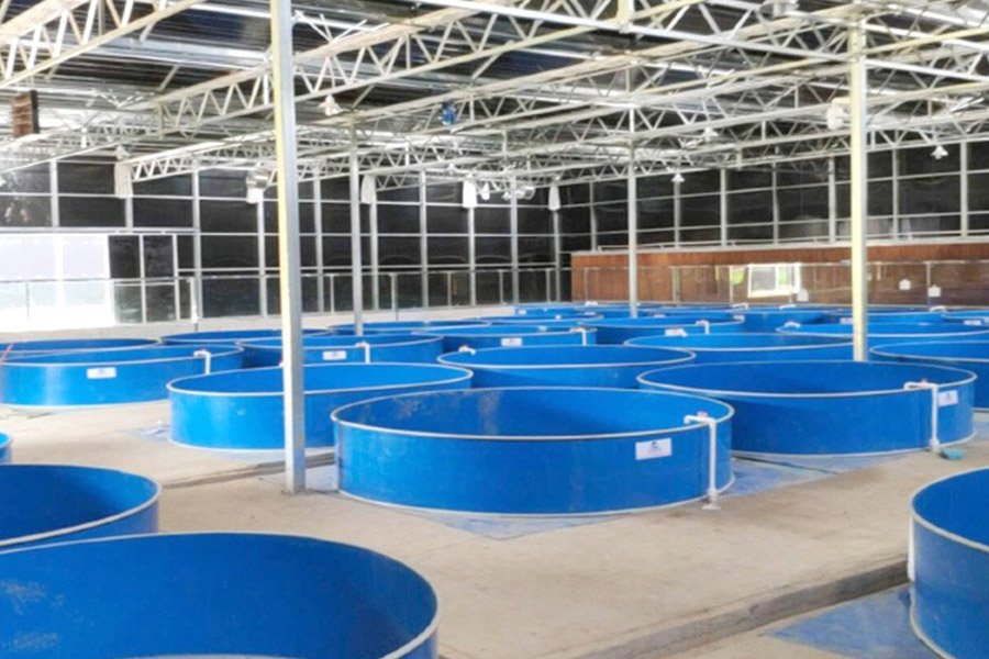 Aquaculture Gas Applications