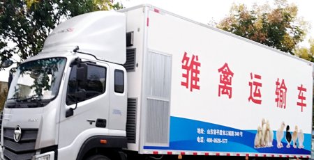 8X4 New Constant Temperature Chick Hatchling Transport Vehicle Factory