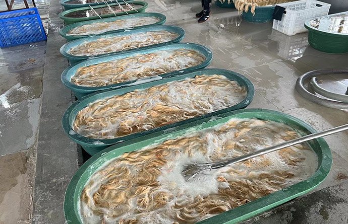 -4_0002_2b1f8fb55767acd6239b43a2c6140d4