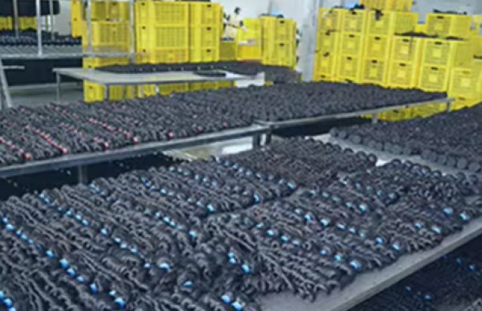 dc197b87b19314de.jpg_20240620171712_690x445