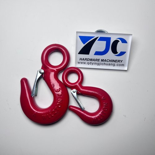 China Forging Eye Hooks with Latch （H-320）