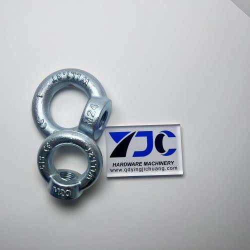 China Eye Nut DIN 582 In Stock