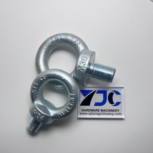 Low Price Eye Screw DIN 580 Supplier