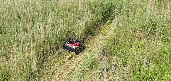 フィールドの雑草をきれいに取り除く