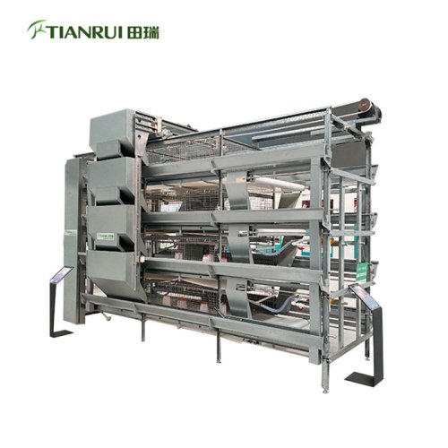 Pullet Cage Equipment