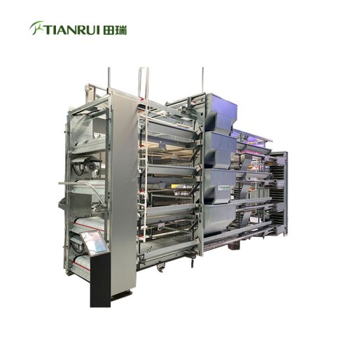 H Type Layer Equipment