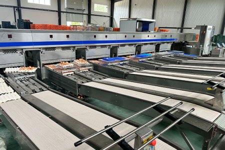 Egg packaging workshop