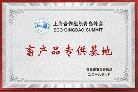 Egg Supply Base for the 2018 SCO Summit