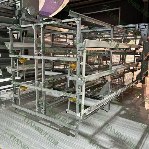 Broiler Cage Equipment 2