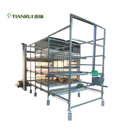 Broiler Cage Equipment 1
