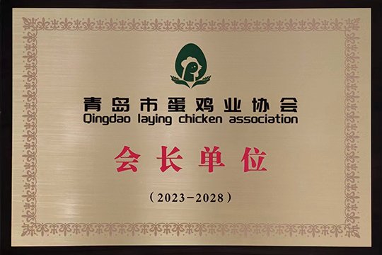 Qingdao laying chicken association president unit