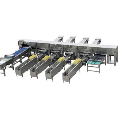 Chicken Egg Processing Line