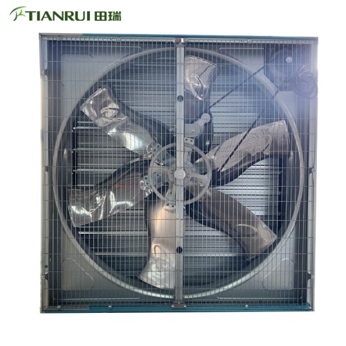 Exhaust Fan