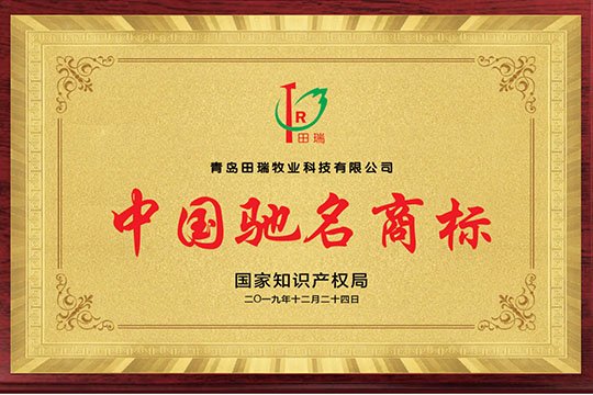 China Well-Known Trademark