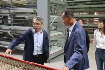 "Yang Ning, Chief Scientist of the National Layer Chicken Industry Technology System, Led a Team to Visit and Guide Tianrui Group."