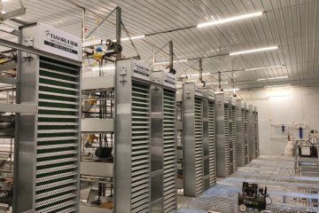 1.1 million modern laying hen breeding base completed! Tianrui Group joins hands with Tianyou Poultry to create a new benchmark for "digital and intelligent farming" in Northern Shanxi