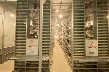 Poultry Equipment Solutions for Modern Layer Farming