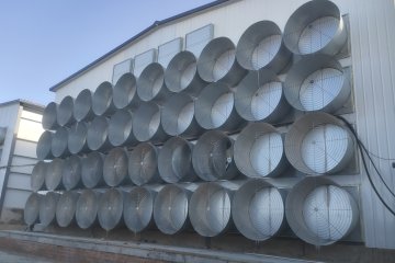 What Equipment Do You Need for a 10,000 Layer Poultry Farm? (Complete 2026 Guide)