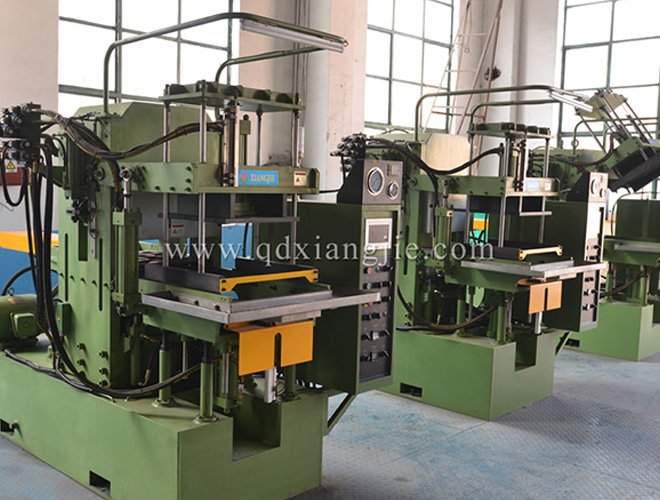 Vacuum plate vulcanizer