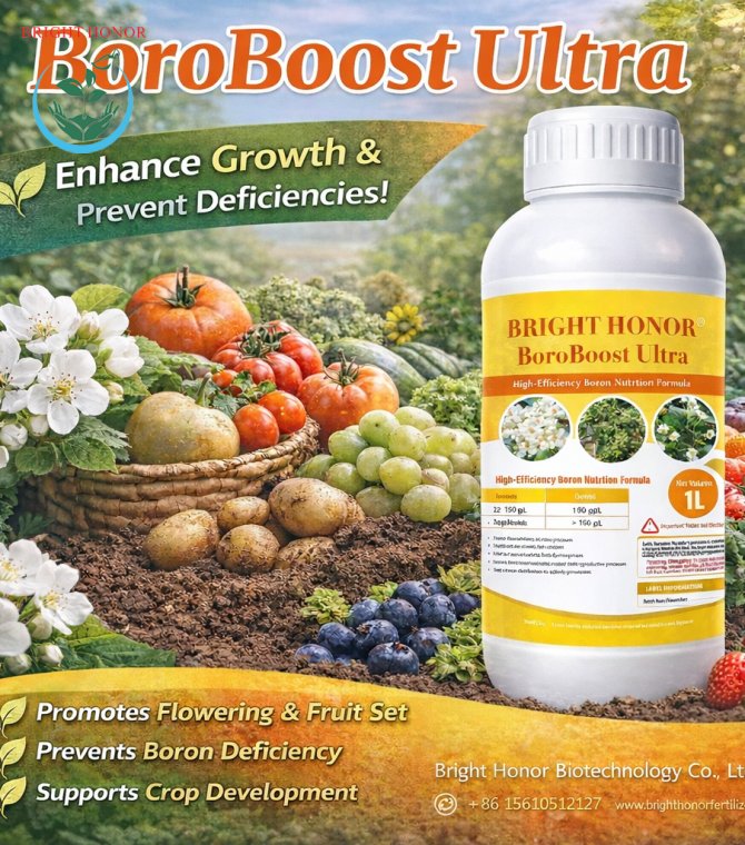 BRIGHT HONOR® BoroBoost Ultra – High-Efficiency Boron Nutrition Formula