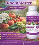 bloom master 邮箱宣传
