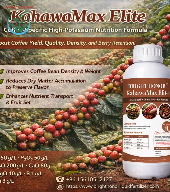 BRIGHT HONOR® KahawaMax Elite – Coffee Bean Filling & Quality Formula