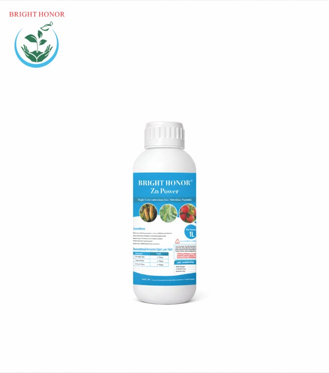 ChatGPT Image 2026年1月20日 11_50_49