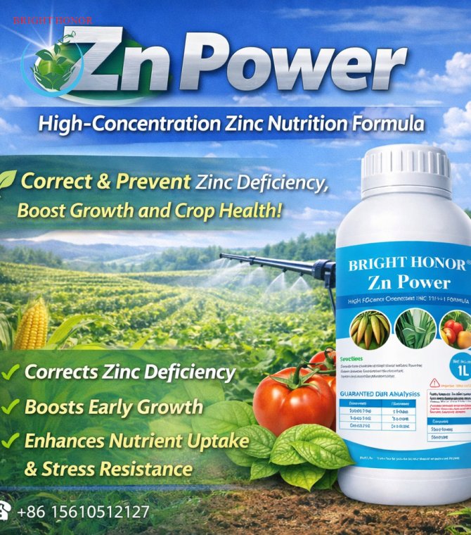 BRIGHT HONOR® Zn Power – High-Concentration Zinc Nutrition Formula