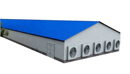 STEEL STRUCTURE CHICKEN HOUSE