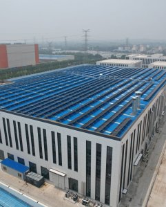 CHINA YOUZHUMEIRUI PLANT