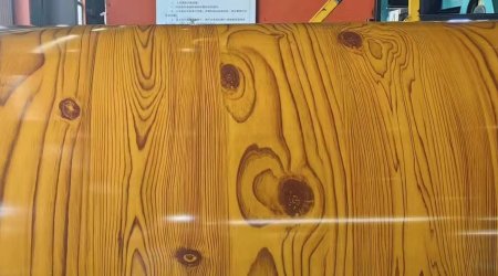 Economic performance continued to recover in November