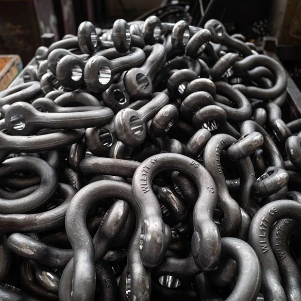 Forged Steel Shackle (4)