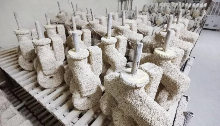 What is the Silica Sol Process ?