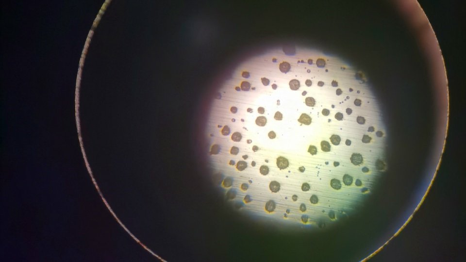 The Value of Electron Microscopy for Defect Detection in Iron Castings