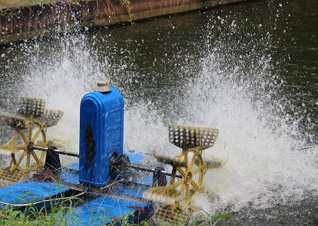 Key Features to Look for in a Quality Pressure Tank