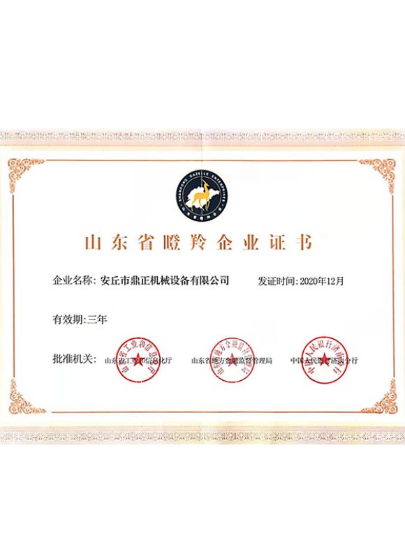 honor Shandong Province Gazelle Enterprise Certificate