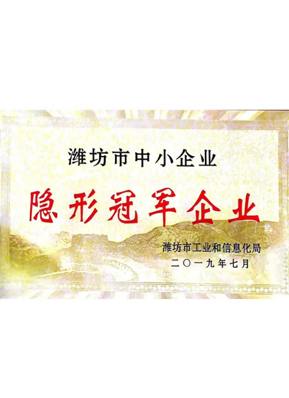 honor Hidden Champion Enterprise Certificate