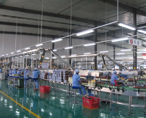 Conveyor equipment 2