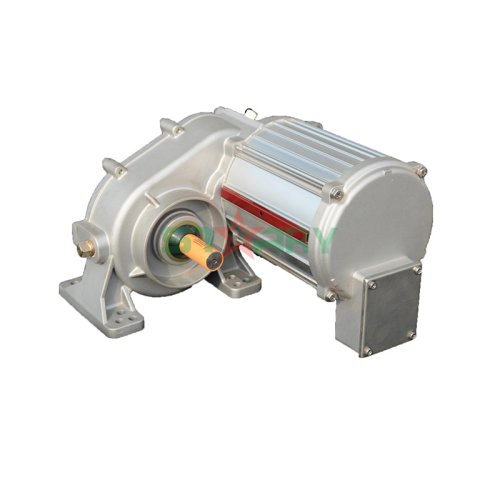 Gear Motor