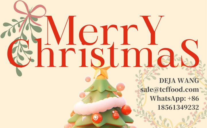 Merry Christmas and happy new year 