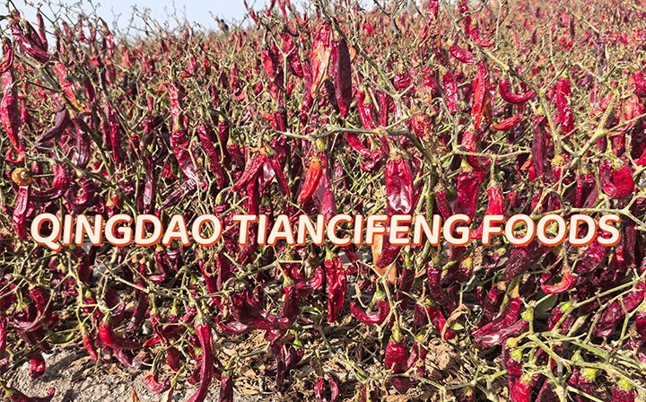 2025-2026 New season paprika