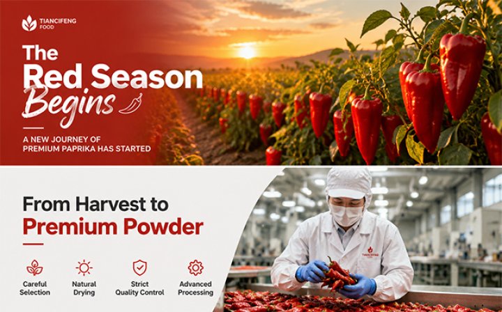 The Red Season Begins: A New Journey of Premium Paprika Has Started