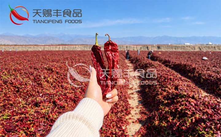 new-season-paprika-harvest-2026